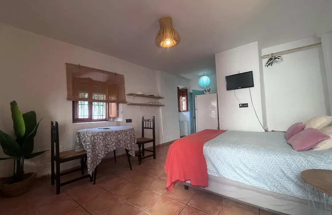 Estudio en el Albayzin-1